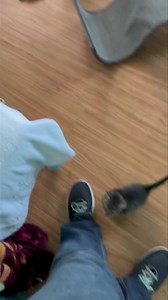 Good morning, from Kiki, and her kittens! Happy Thanksgiving! | Animal Education and Rescue