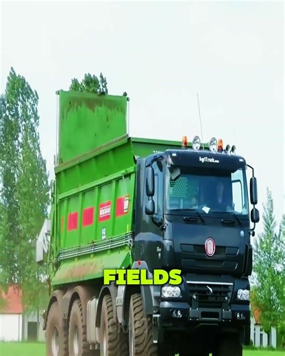 462 HP of a Dung Monster: Why the Tatra Fenix ​​Doesn't Smell Like Money, But Brings It