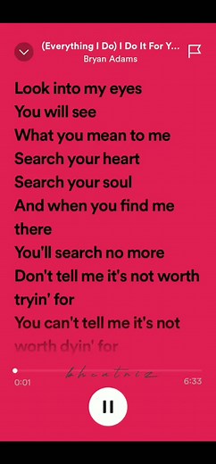 Everything I Do I Do It For You Lyrics Video