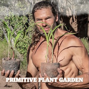 Primitive Gardening with the 3 Sisters Technique | Chad Zuber