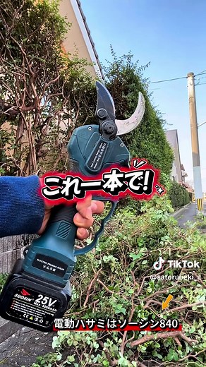 生垣の剪定方法と注意点