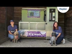 The Petplan Dog Washes