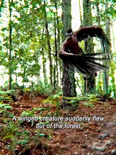 #movie #filmcommentary #foryou #usa #fyp | the animal kingdom ending