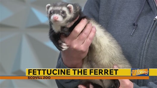 Scovill Zoo to open for the season on April 3