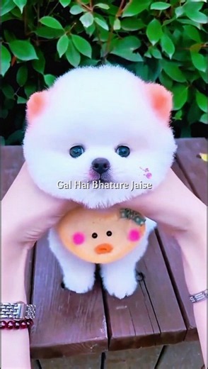 Golu Molu Cute Potato 🐥💝 WhatsApp Status | Lyrics Status | #trending #song #viral #shorts #aesthetic