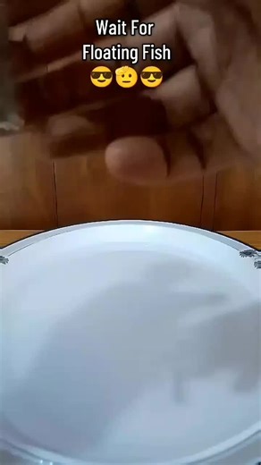 Habzaa Hacks And Experiments on TikTok