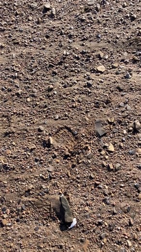 #Indian artifacts #beautiful find.