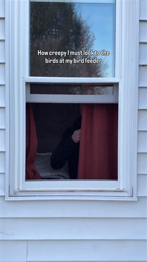 I’m really just happy they have food #birdwatching #bird #birding | Ron DeLancey