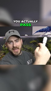 Curious how a matten filter works? They're super simple, cost affective and our FAVORITE form of filter here at Flip! Video on Matten Filters https://youtu.be/RBlb_pchOhg?si=itVPWFdf82KzhXan Shop Matten Filters https://flipaquatics.com/collections/matten-filters 👨‍👩‍👧‍👦 Unlock exclusive content & perks — Join the Aquarium Club! Join here 👉 https://www.youtube.com/channel/UCwqXcfzaWIkNPtvlYuLb1Dg/join 👾 Join our Flip Fam on Discord — chat, learn, and connect with our community! Hop in here 