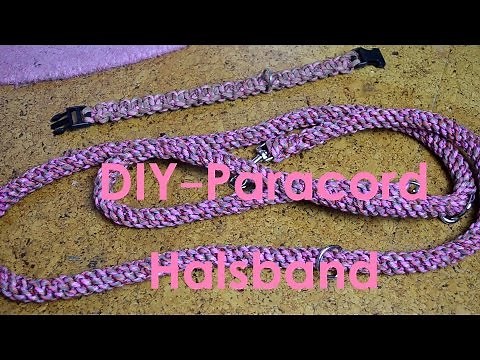 DIY-Paracord-Hundehalsband