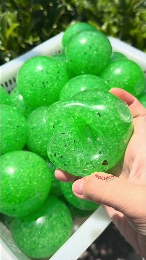 Bulk Kiwi Fruit Storage & Summer Ripening Hacks (Small Business Tips)