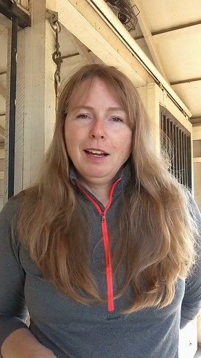 The Science Behind Horse Winter Coats | Horse Grooming Facts