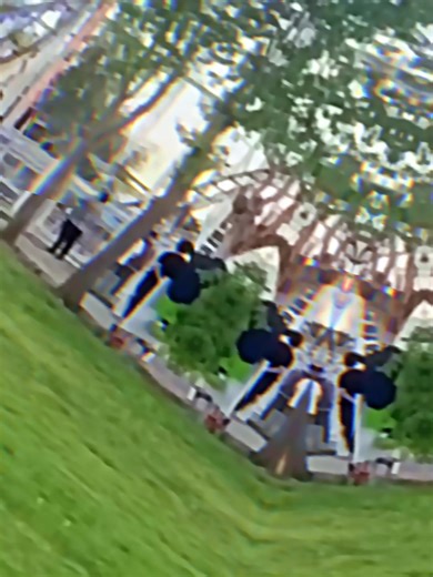 Exploring Jalayirid Heritage and Turkoman History