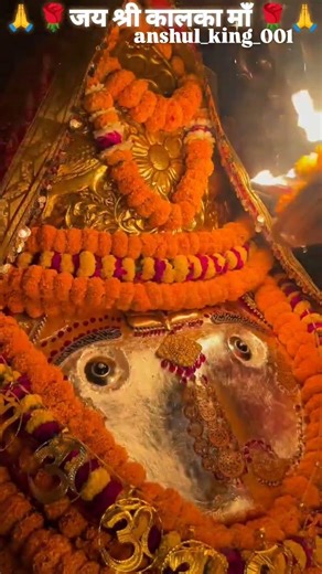 🙏🌹Jai Shri Kalka Maa 🌹🙏 10/03/2026 morning darshan #shorts #youtubeshorts #viral #video #trending