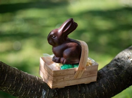 Easter diorama box project | Teaching Resources
