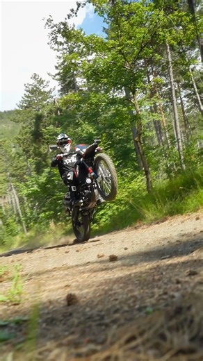 Aprilia Japan | 本格的な走りを可能にする最新テクノロジーには、アプリリアのラリーでの功績が組み込まれている。 RX125の詳細はこちらから👉https://www.aprilia.com/jp_JA/models/rx-125/ #aprilia #アプリリア #RX125 #bearacer | Instagram