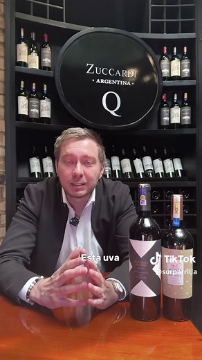 Origen y evolución del Malbec: del coto al emblema argentino