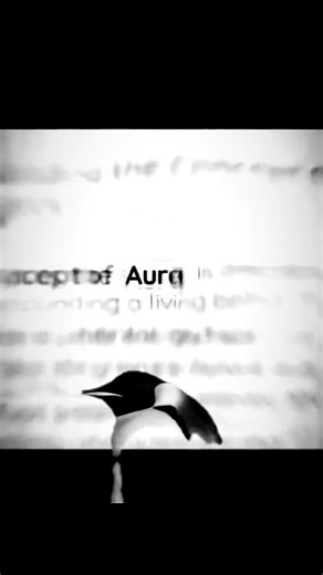 GOOD SIDE OF INSTA | The “Nihilist Penguin” refers to a famous scene from Werner Herzog’s documentary Encounters at the End of the World, featuring a... | Instagram