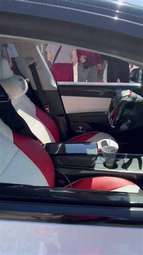 Tesla Model 3 race car on bags