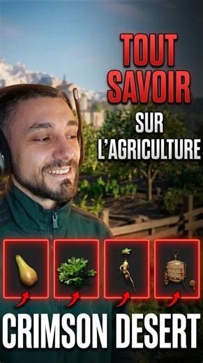 How to farm Ginseng in Crimson Desert #crimsondesert #crimsondesertguide