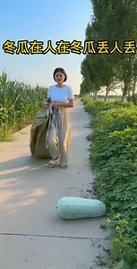 Winter melon is shameful in winter melon and lost | Cat funny