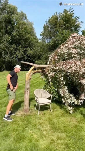 The Genius Way to Use a Fallen Tree 😱