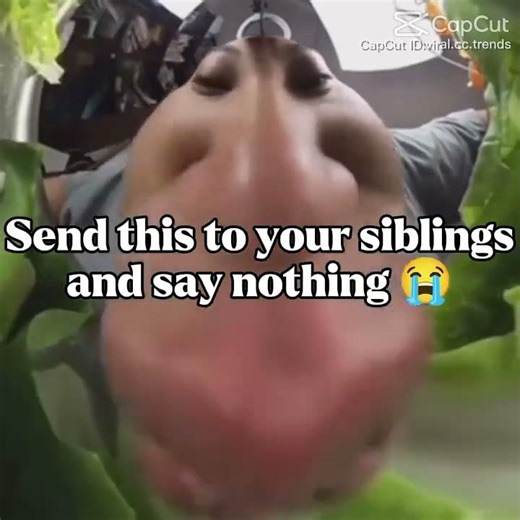 CHOMP CHOMP#asmr#fyp