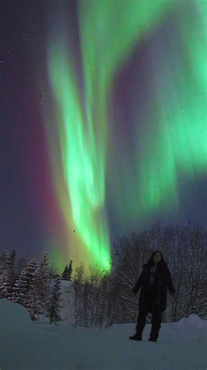 Amazing aurora above happy guest | Aurora Borealis Observatory