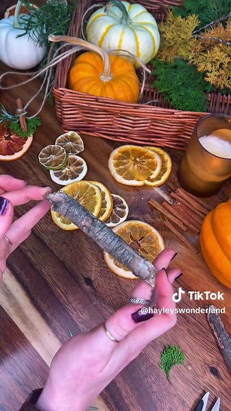 Dried Citrus Garlands for a Cozy Home
