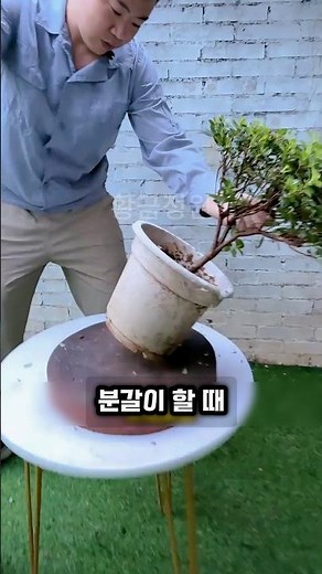 만능 분갈이 3층 법칙