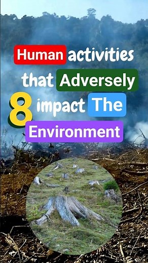 8 Overlooked Ways We Damage the Environment