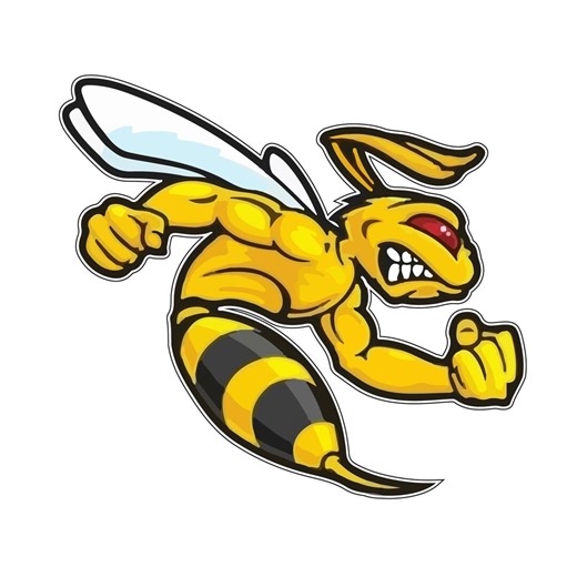 Angry Bee Hornet Attack Car Bumper Locker Notebook Wall Phone Sticker Decal - Etsy