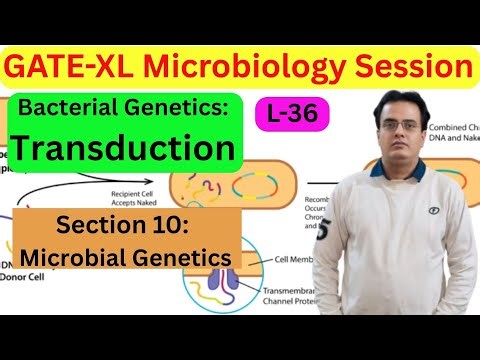 Target GATE-XL-Microbiology: Session no.#36: Transduction Microbial Genetics: Section no.10