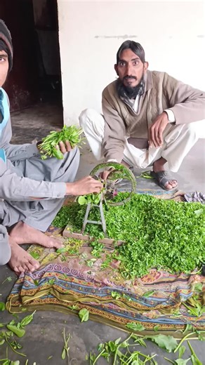 Abdul Hameed (@mahmmad..meeda)’s videos with original sound - Abdul Hameed