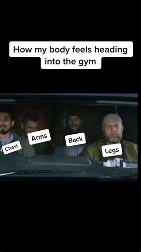 Effective Gym Workout Routine: Arms, Legs, Chest, Back Days