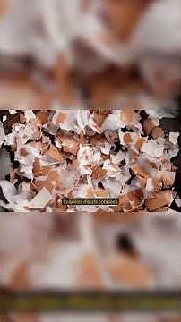 Comment utiliser vos déchets? Le compost, mode d'emploi