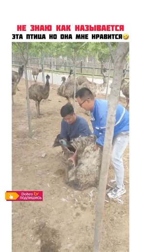 DOBRO TV on Instagram: "📌🤣🤣"