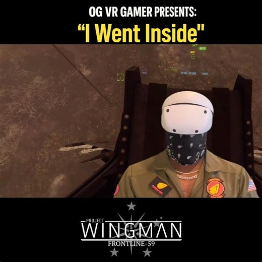 I WENT INSIDE #ProjectWingman #VR Took Down a BOMBER with Just My Machine Gun 😳✈️