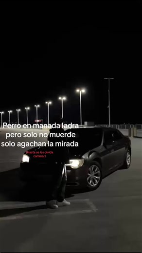 Understanding Dog Behavior in Packs