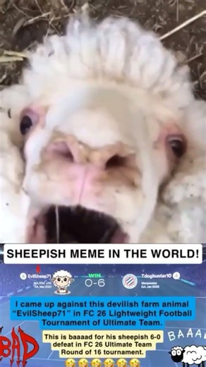 Sheep meme Fc 26