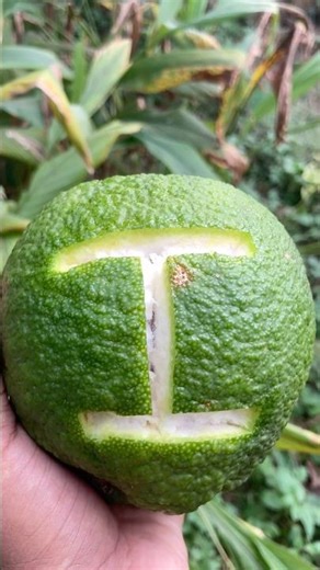 The Art of Fruit Carving: Elegant Letter 'I'Tutorial #fruit #carving