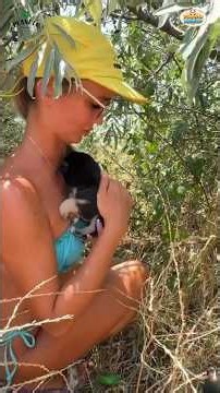 People Helping Animals ❤️ 13 Incredible Rescues & Acts of Kindness (Part 7)