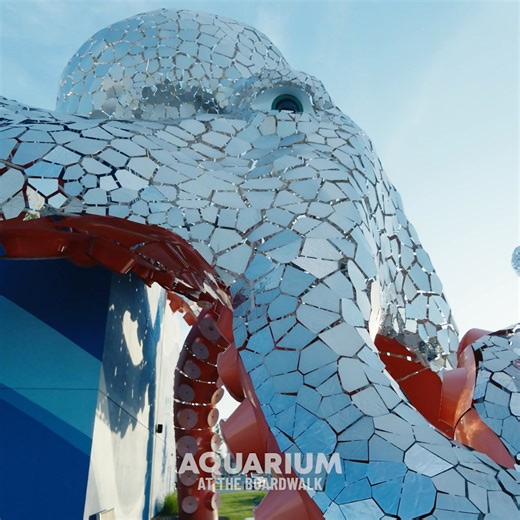 Welcome to Branson! Escape indoors with glowing fish, immersive exhibits & high-energy fun 🐡 – plus $3 off tickets online! | Aquarium at the Boardwalk