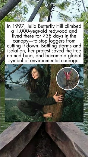 738 Days Alone in Redwood 🌲