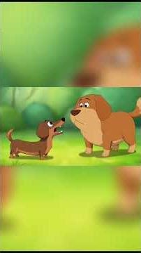 Dachshund Facts | Discovery | Fun Facts | Kids Cartoon