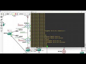 7. eBGP and iBGP Configuration Service Lab(Part 1)