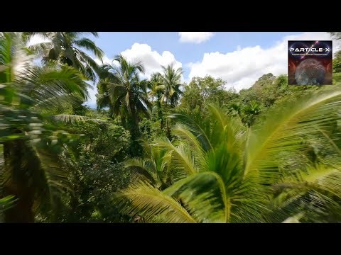 Astrix - Deep Jungle Walk (Particle-X Rework)
