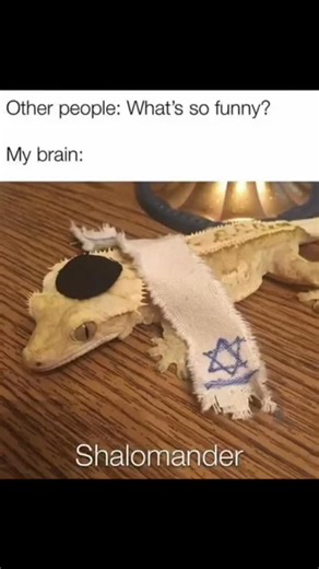 The Cold Digger on Instagram: "Are you a good goy?"