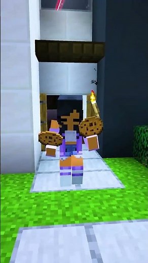 Aphmau! Aphmau the MASTER THIEF!