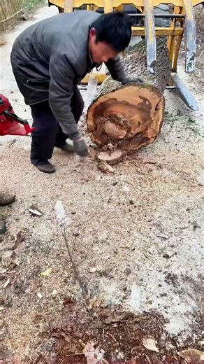 Rural Grandpa's Patient Tree Hole Repair: His Craftsmanship Beats Machines!